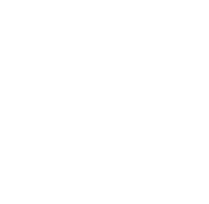 Adobe Illustrator Icon
