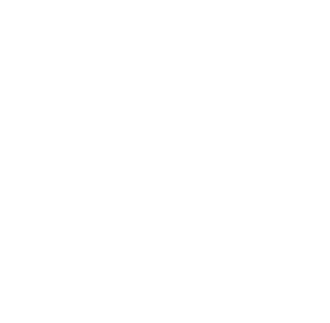 InDesign Icon