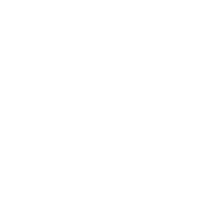 Dreamweaver Icon