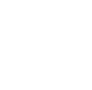Adobe Animate Icon
