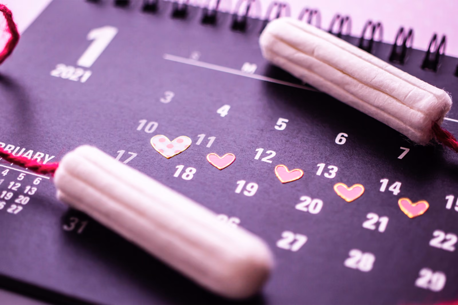 4 menstrual cycle phases