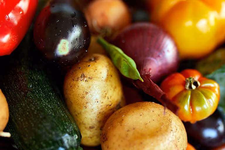 How does fibre control blood sugar levels?