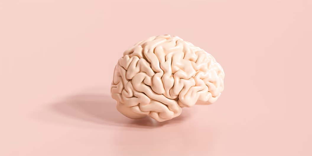 How menopause affects the brain