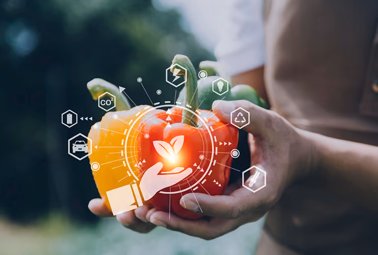 What is health optimisation?