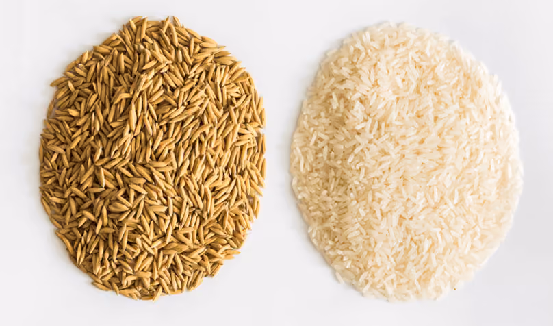 White rice vs. Brown rice: impact on glucose levels and how to choose for better health