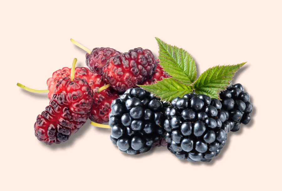 Mulberry or Blackberry, which is healthier?