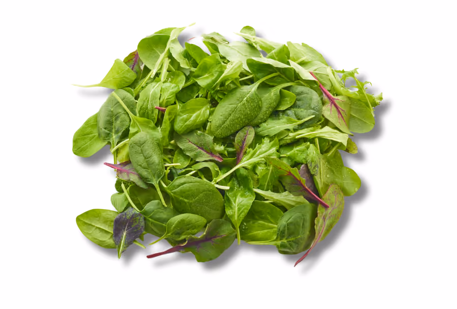 winter veggies leafy greens