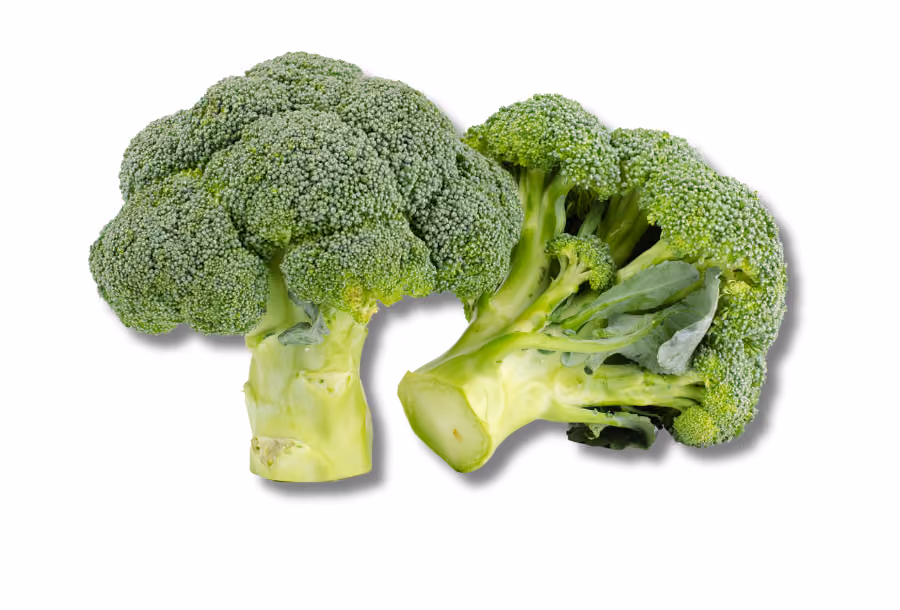 winter veggies broccoli