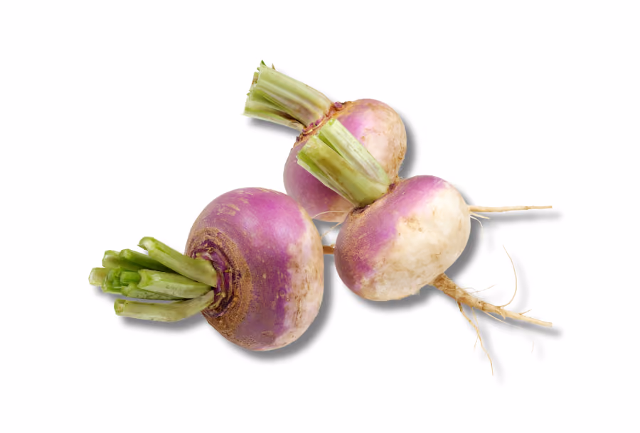 winter veggies turnips