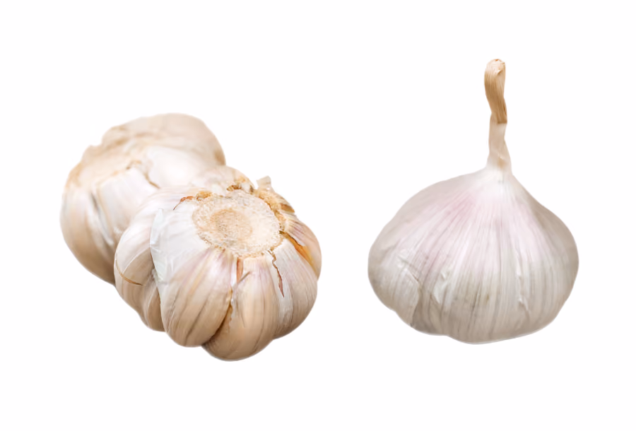 winter veggies garlic