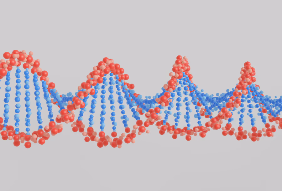 What is a DNA Methylation test?