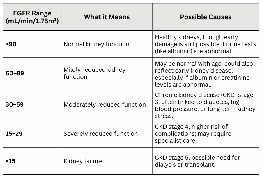 Estimated Glomerular Filtration Rate (EGFR) test results Australia