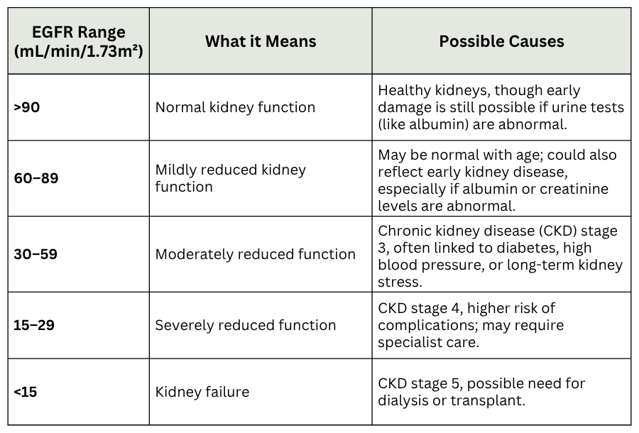Estimated Glomerular Filtration Rate (EGFR) test results Australia
