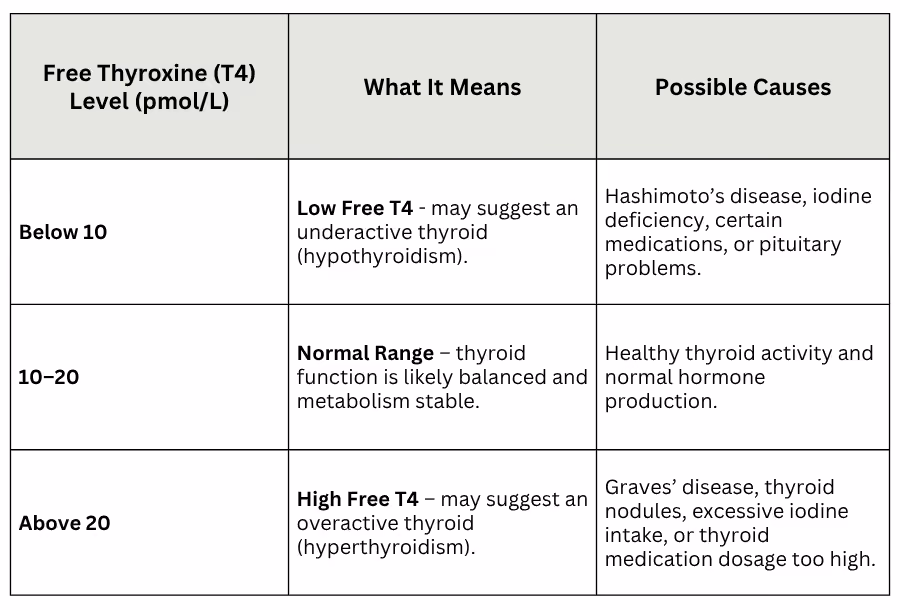 Free Thyroxine (T4) blood test result Australia