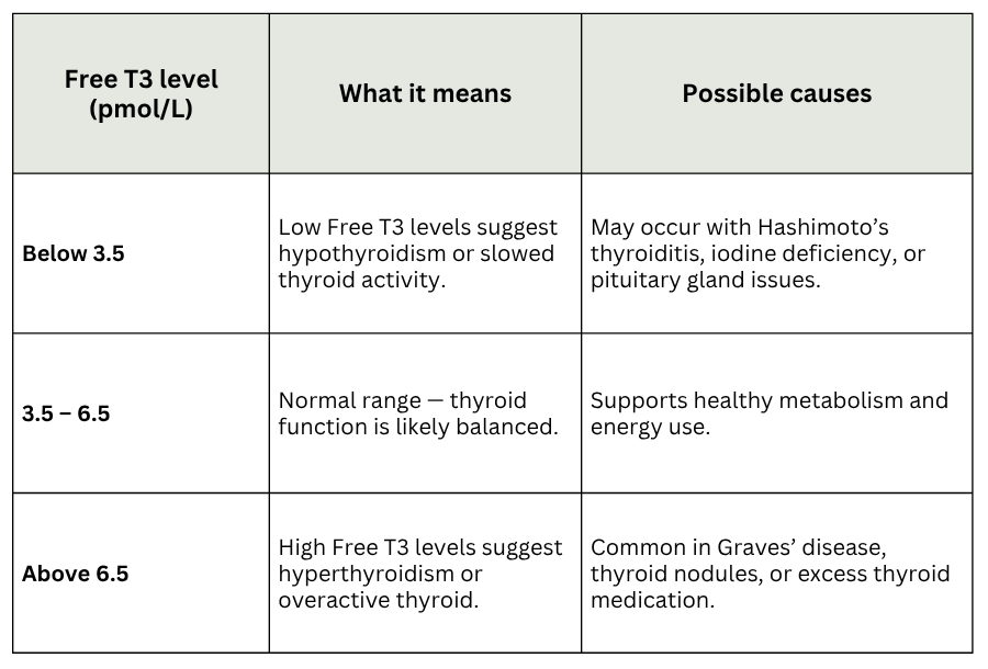 Free Triiodothyronine (T3) blood test results Australia