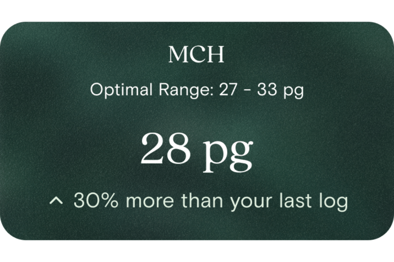 Open Mch File Mean Cell Haemoglobin (MCH) Test | Get Tested Today | No Referral ...