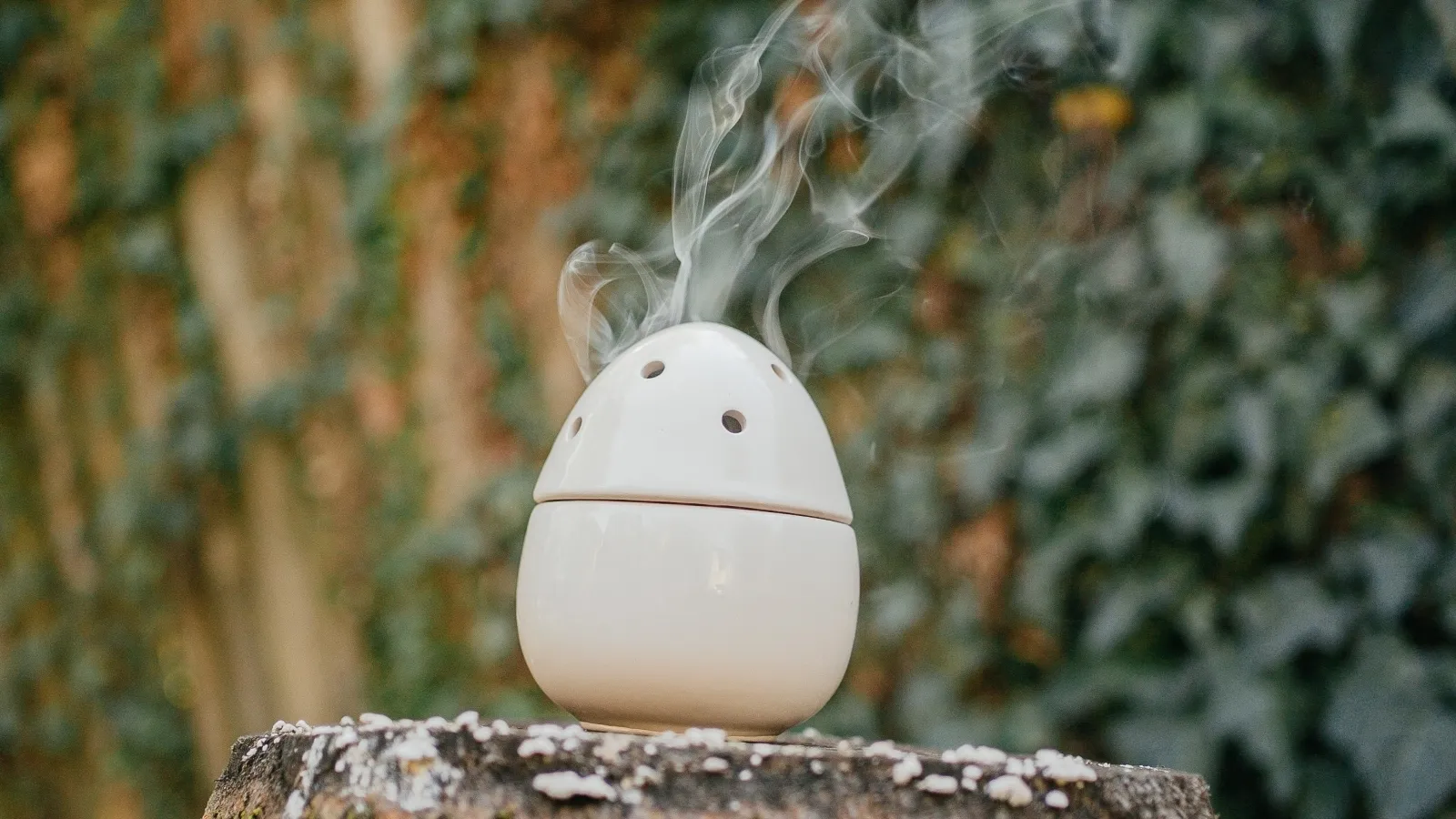 Local doctor says it's important to see an ENT specialist to identify the cause of your headaches