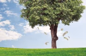 Penn Bonus Plan: 1st Quarter 2018