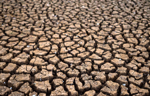 Declared Special Enrollment Period: California Severe Drought