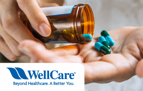 Wellcare 2022 Prescription Drug Plan (PDP) Consolidation