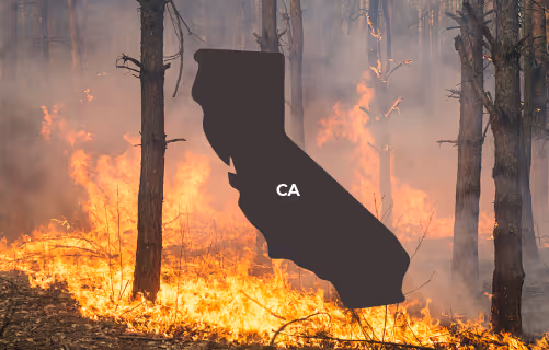 Special Election Period (SEP) in effect for California