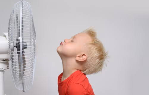 Special Election Period (SEP) in effect for Oregon