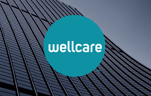 Wellcare PPO In-Network Hearing 1000 & 1500 Misprint