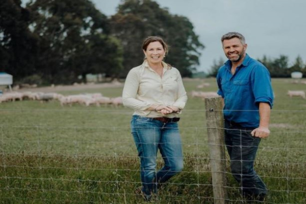 Free-range pig returns boost farm