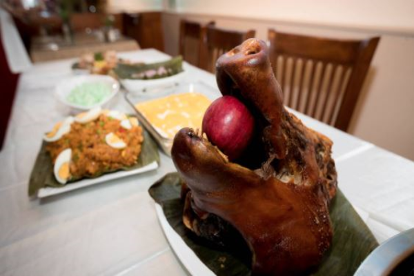 Pig farming changes: Pacific community may struggle to afford pork for cultural events
