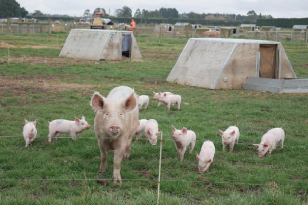 Prison farm workers better their lives with agricultural work