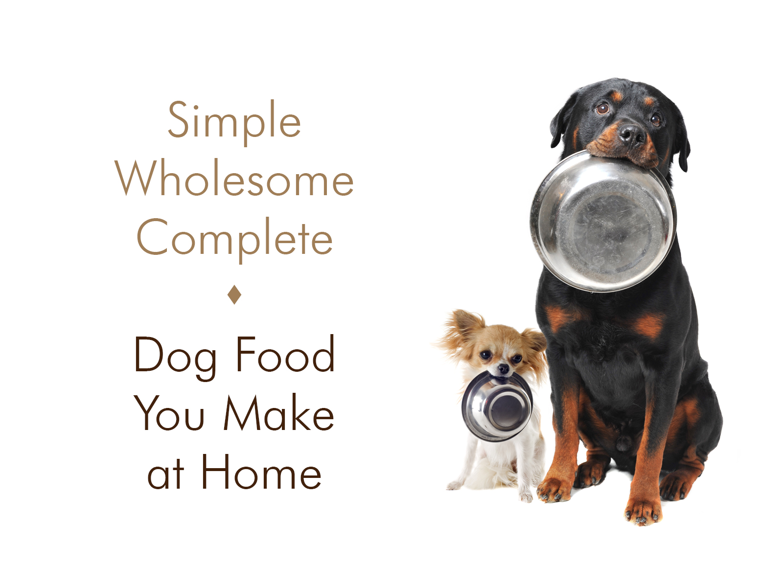 Two dogs holding their bowls. Text says "Simple, Wholesome, Complete... Dog Food You Make at Home