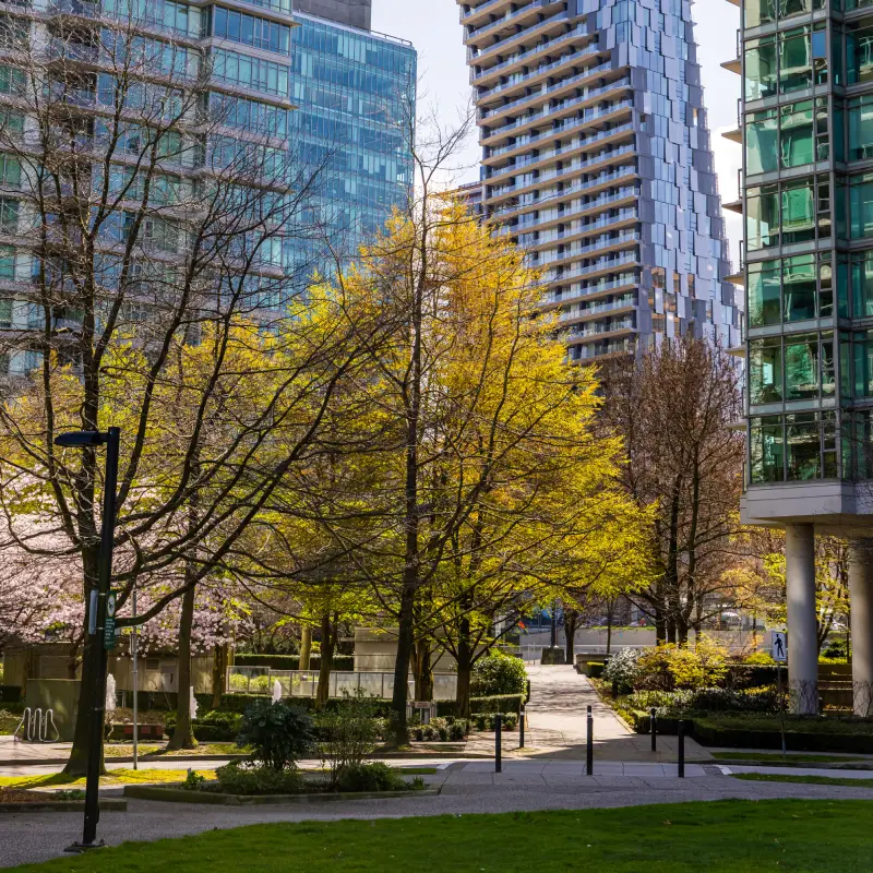Vancouver skyline for AI Trainings