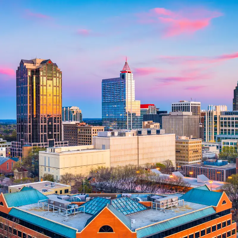 Raleigh skyline for AI Trainings