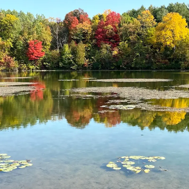 Markham skyline for AI Trainings