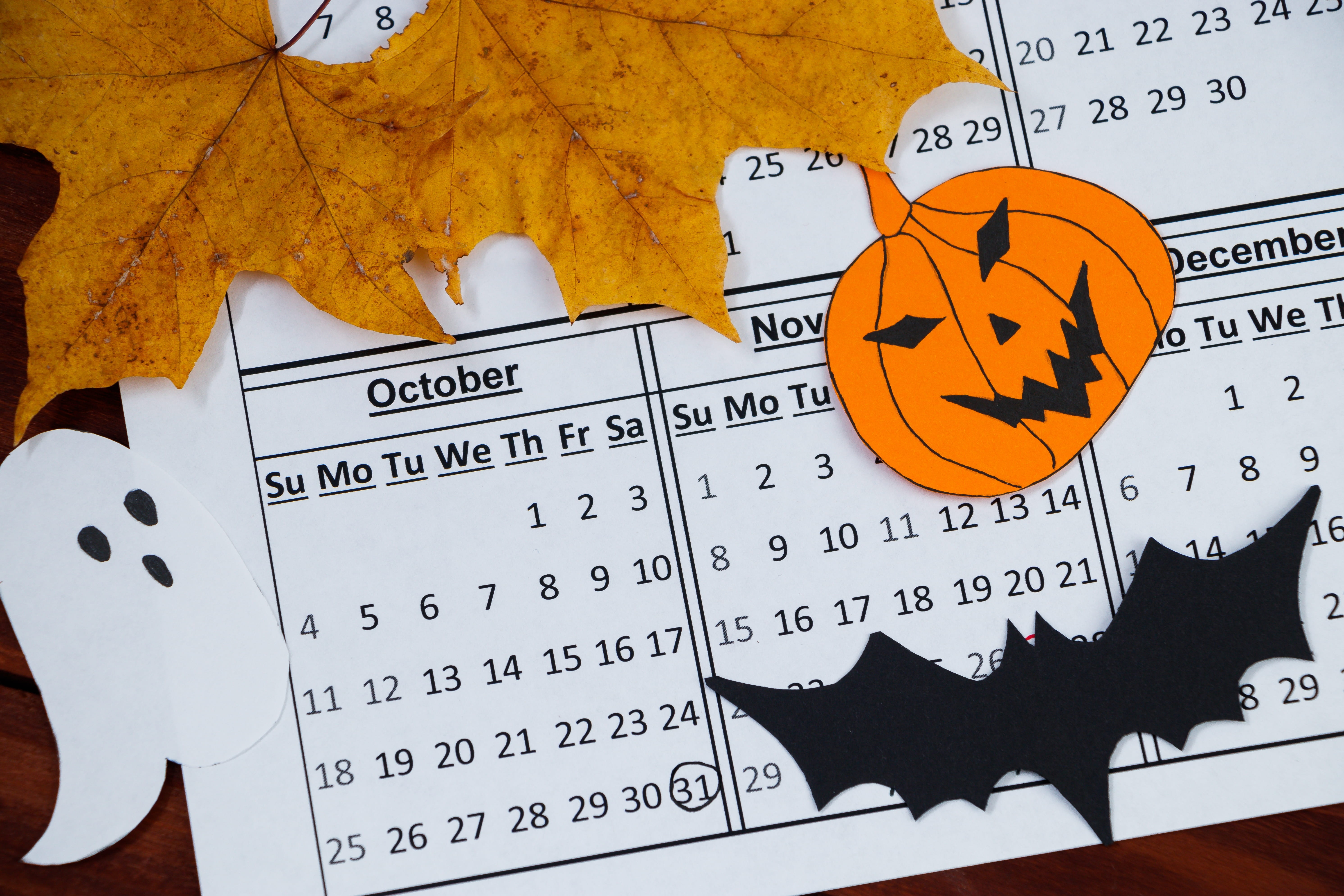 Seasonal Activities Work Throughout the Year