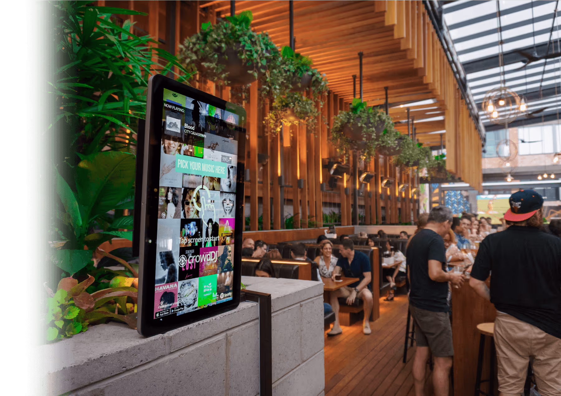 Nightlife case study