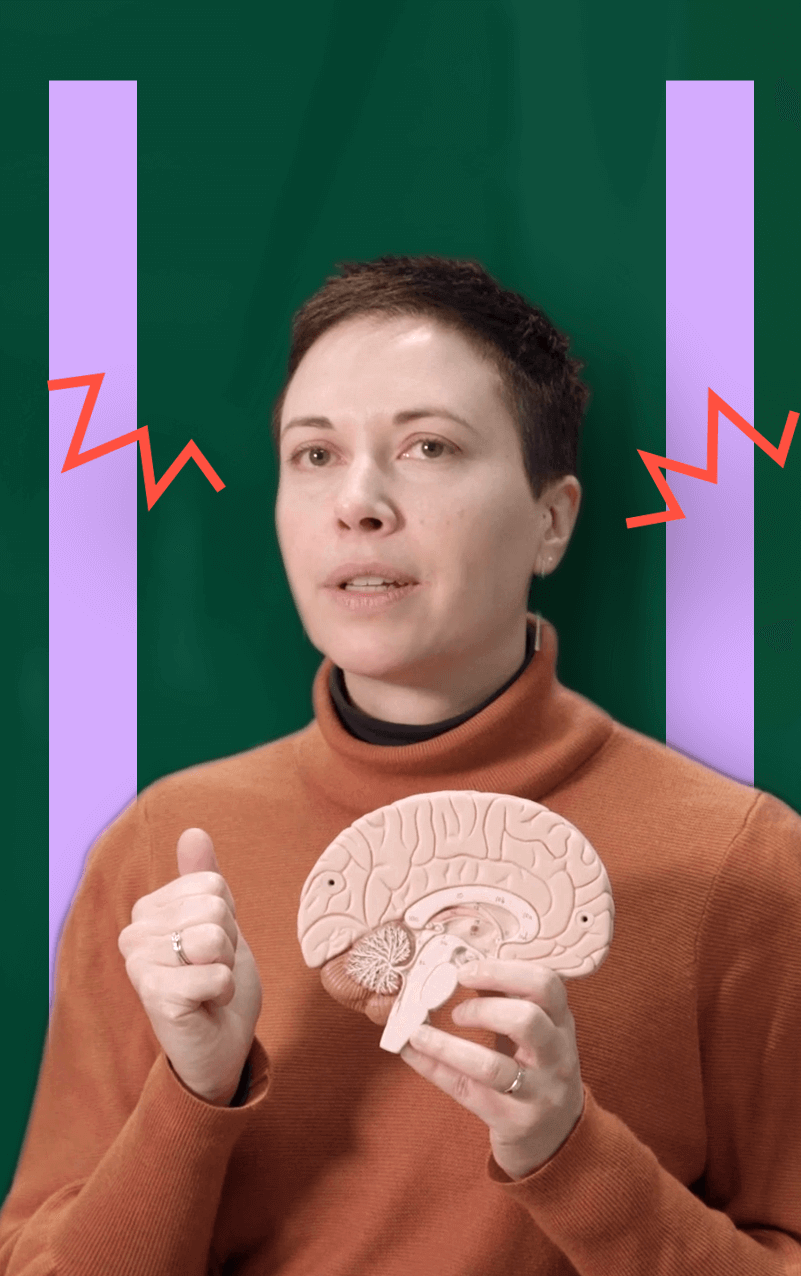 Gerinkel, getuut, gezoem, gebrom, gekraak, gesuis... horen, terwijl er rondom je heen niks gebeurt. Dat is tinnitus. Er is dan niet per se iets mis met je oren, nee, het zijn je hersenen die die geluiden maken. Eén op 10 mensen heeft er last van. Professor Sarah Michiels is kinesiste aan de UHasselt en zij doet onderzoek naar waarom tinnitus anders (soms erger!) wordt tijdens het sporten. En naar of je tinnitus kan krijgen door hard op je tanden te bijten...