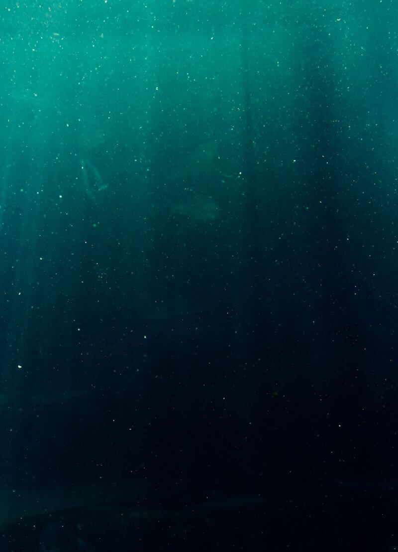 Je kent natuurlijk de hoogste berg ter wereld, de Mount Everest, maar heb je ook al eens gehoord over het diepste punt in de oceaan? De Challenger diepte ligt op 11 km diep en ernaartoe gaan is geen sinecure. Het is er pikdonker, koud en de druk is er zo hoog dat je op die diepte in elkaar zou klappen. Hoe gaan we er dan naartoe en wat is er te vinden? Dat hoor je van marien geoloog David Van Rooij (UGent). 