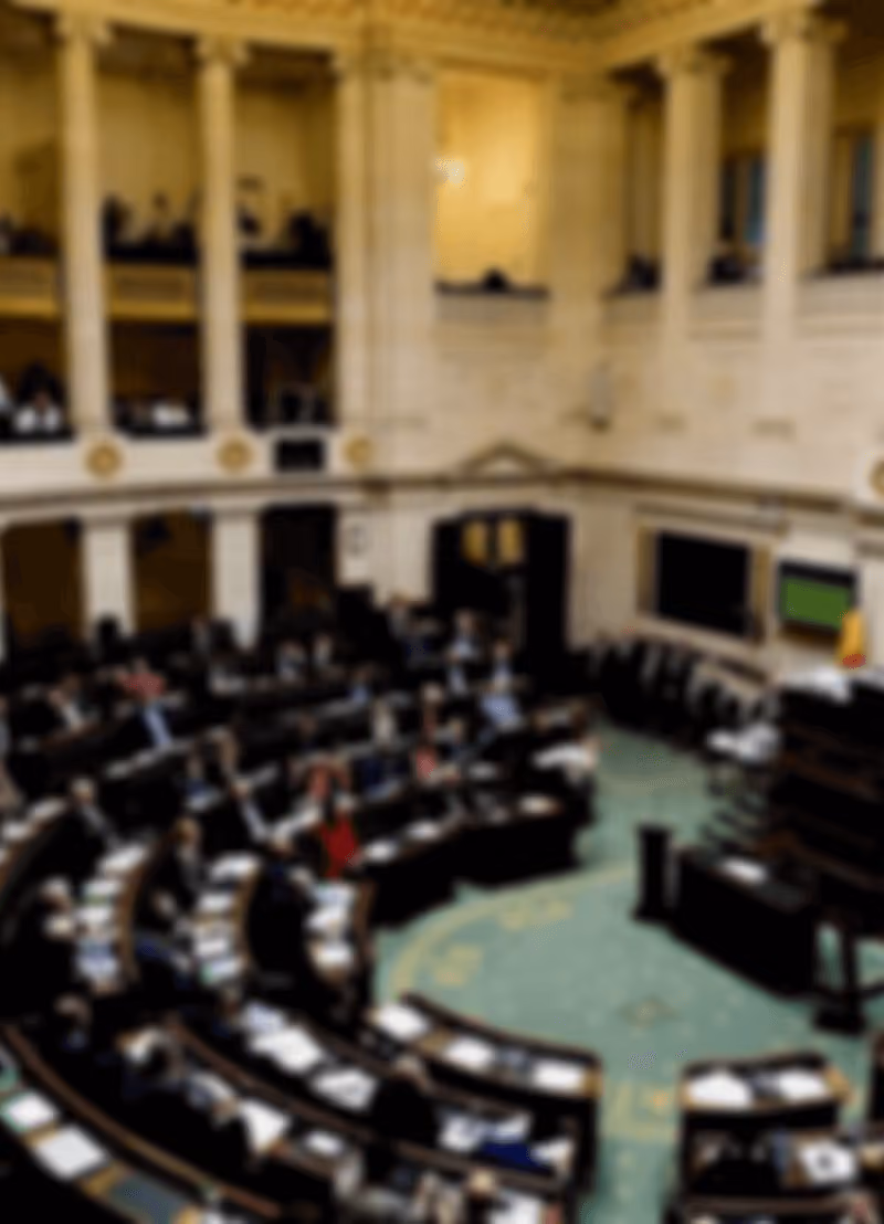 Als de politici in het parlement vertegenwoordigers moeten zijn van hun kiezers, zetelen er dan niet iets te veel witte mannen voor een gezond evenwicht? Prof. dr. Karen Celis, VUB-politicoloog, neemt onze democratie onder de loep en vertelt ons hoe we het nóg democratischer kunnen maken.