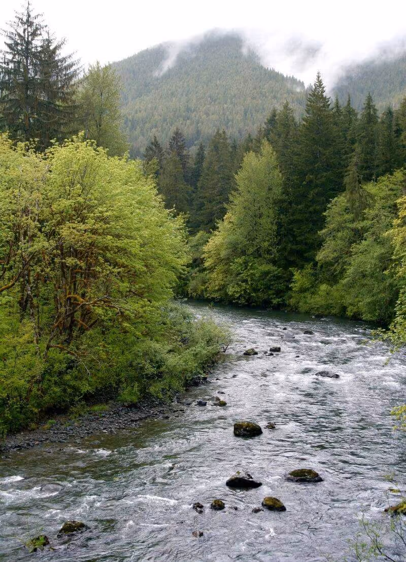 Al het water dat nu op aarde is, is hier al altijd. Er is nooit méér of minder water op aarde geweest. De aarde is de perfecte waterrecycleerder. Fantastisch toch? Onze waterzuiveringsinstallaties helpen natuurlijk ook een handje door al het afval dat mensen doorspoelen of in hun gootsteen gieten weg te filteren. Hoe dat precies gebeurt, hoor je van waterexpert Marjolein Vanoppen (UGent). 