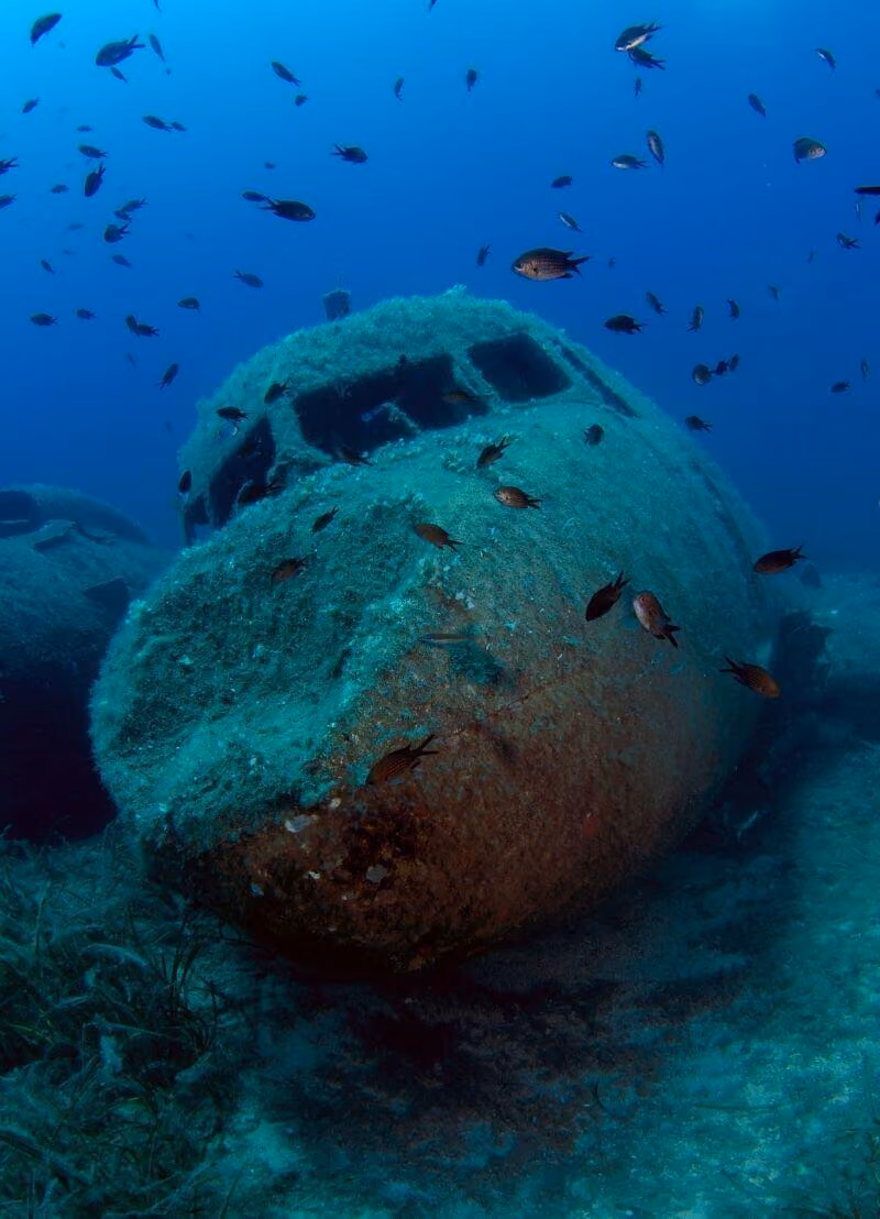 Vliegtuigen die neerstorten in de oceaan zijn niet zo gemakkelijk terug te vinden. Slechts 5% van de oceaanbodem is gekarteerd. Hoe gaan onderzoekers dan te werk? Dat hoor je van marien geoloog David Van Rooij!