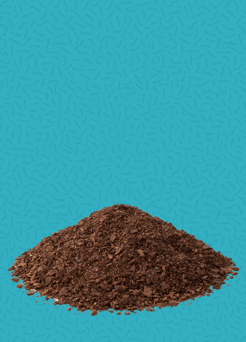 Als je met je handen aan het wroeten bent in de tuin of je kamerplanten verpot, denk je ongetwijfeld dat je goed bezig bent voor de natuur. Maar wist je dat potgrond lang niet zo onschuldig is als het lijkt... Aan de UHasselt doen ze daarom onderzoek naar alternatieven. En dr. Marijke Jozefczak is bioloog en één van die onderzoekers. In deze podcast vertelt de biologe over de impact van potgrond op het milieu en het klimaat.