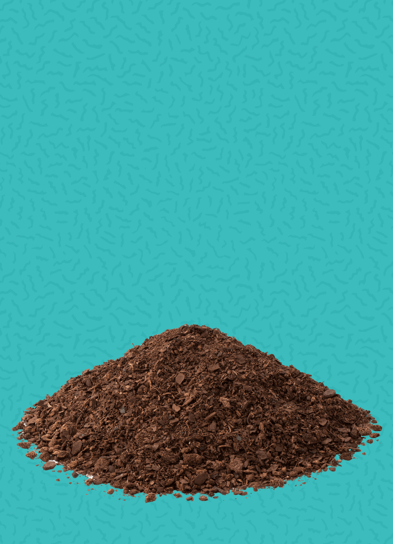 Als je met je handen aan het wroeten bent in de tuin of je kamerplanten verpot, denk je ongetwijfeld dat je goed bezig bent voor de natuur. Maar wist je dat potgrond lang niet zo onschuldig is als het lijkt... Aan de UHasselt doen ze daarom onderzoek naar alternatieven. En dr. Marijke Jozefczak is bioloog en één van die onderzoekers. In deze podcast vertelt de biologe over de impact van potgrond op het milieu en het klimaat.