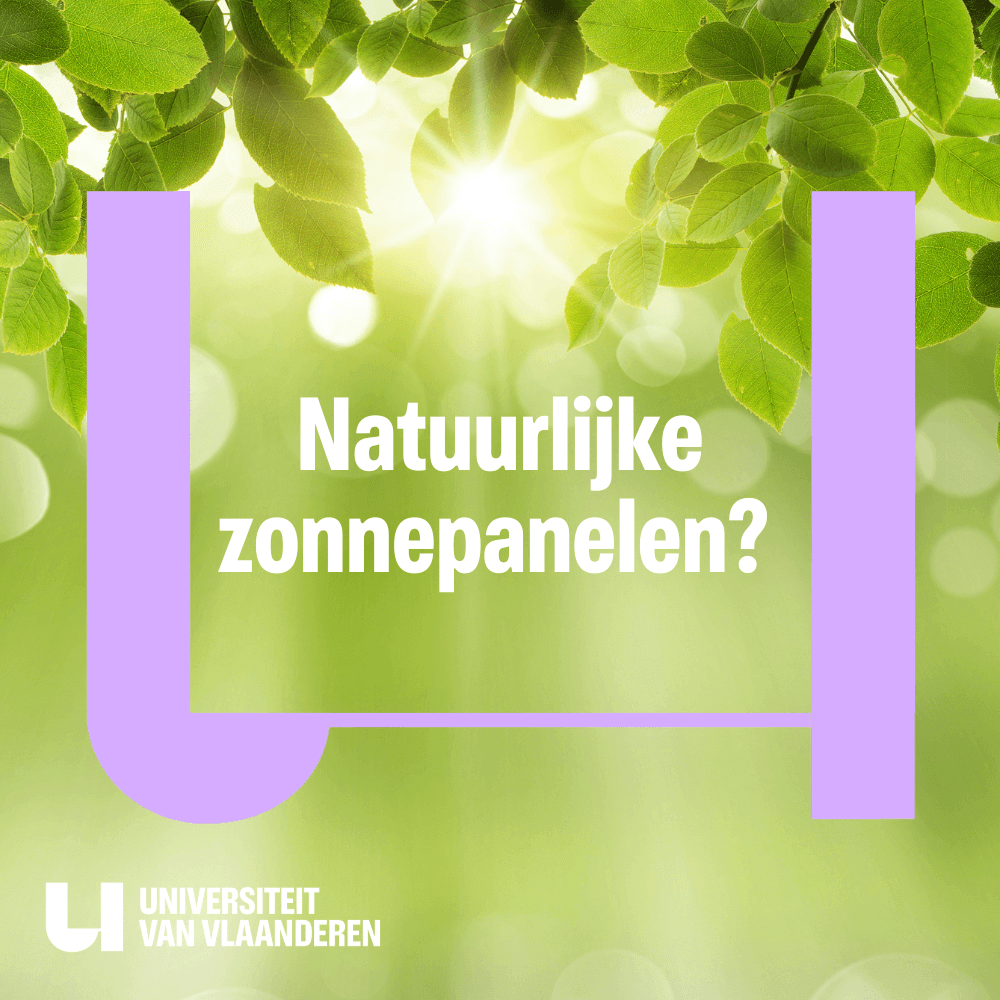 Fotosynthese is het proces dat planten in staat stelt om de energie van de zon om te zetten in voedingstoffen. Zij hebben 'groene energie' als het ware geperfectioneerd! Van planten kunnen we leren hoe we onze eigen zonnecellen nog beter maken. 