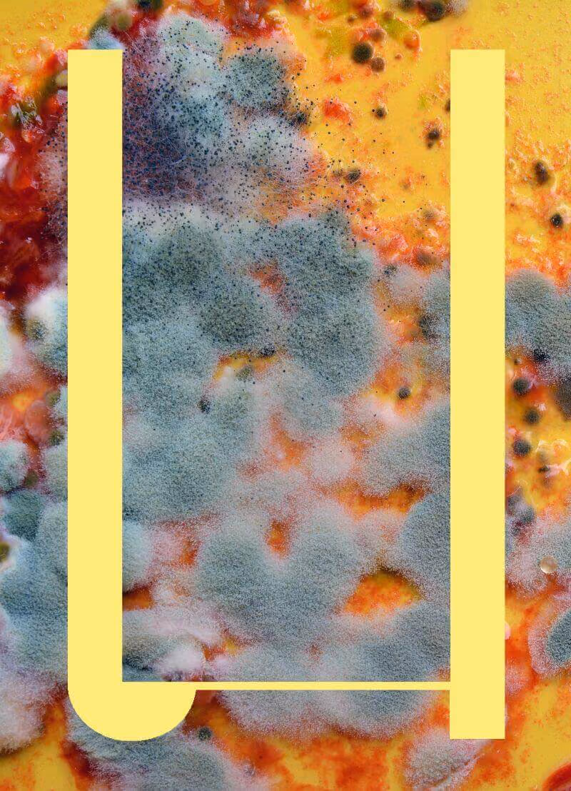 Tijd voor een zomereditie van deze podcast. Vanuit Bar Brial in Mortsel ontvangt Koen Filet deze keer microbiologe Katrien Lagrou van de KU Leuven. Zij gaat het hebben over schimmels. Die gebruiken we onder andere om brood te bakken, bier te brouwen en we eten ze op als kaas. Maar schimmels kunnen ook tussen de tenen zitten, op je fruit én je kan er ziek van worden. Hoe cool of vies zijn schimmels? En gaat een schimmelprof zelf nog naar het zwembad?