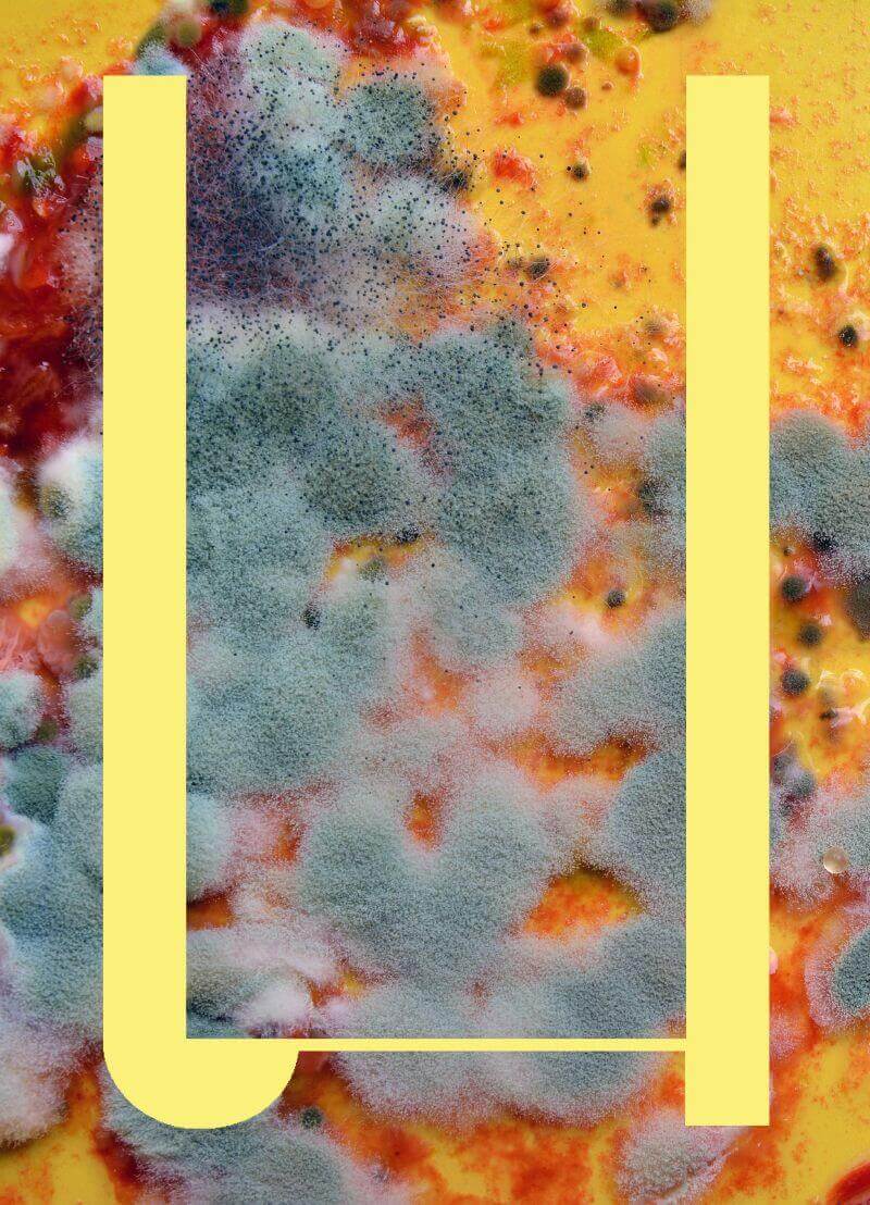 Tijd voor een zomereditie van deze podcast. Vanuit Bar Brial in Mortsel ontvangt Koen Filet deze keer microbiologe Katrien Lagrou van de KU Leuven. Zij gaat het hebben over schimmels. Die gebruiken we onder andere om brood te bakken, bier te brouwen en we eten ze op als kaas. Maar schimmels kunnen ook tussen de tenen zitten, op je fruit én je kan er ziek van worden. Hoe cool of vies zijn schimmels? En gaat een schimmelprof zelf nog naar het zwembad?