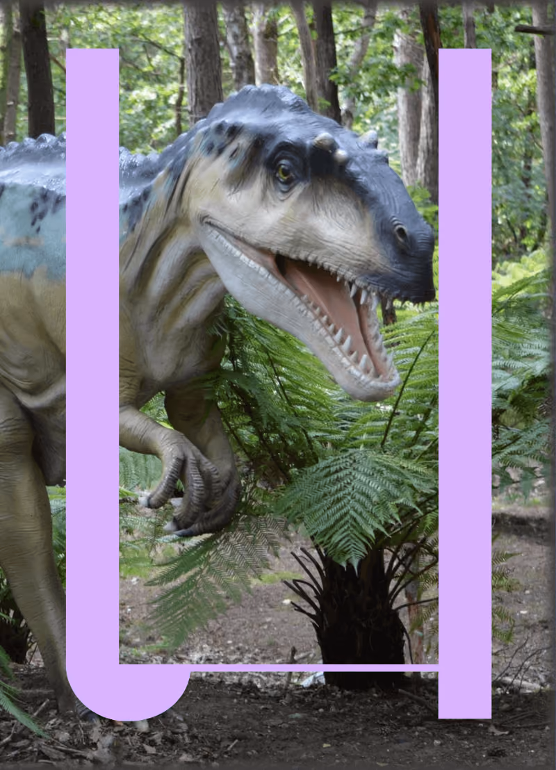 66 miljoen jaar geleden sloeg een 10 kilometer brede meteoriet in op de Aarde. Die inslag veroorzaakte een krater van 180 km doorsnede. En het betekende het einde van de dino's. En van vele andere dieren. 75% van alle diersoorten stierf uit door de effecten van die meteorietinslag. Maar... een aantal diersoorten overleefden het wél. Welke? En waarom zij wel? Dat komt paleontoloog Johan Vellekoop van de KU Leuven en het Koninklijk Belgisch Instituut voor Natuurwetenschappen ons vertellen. 