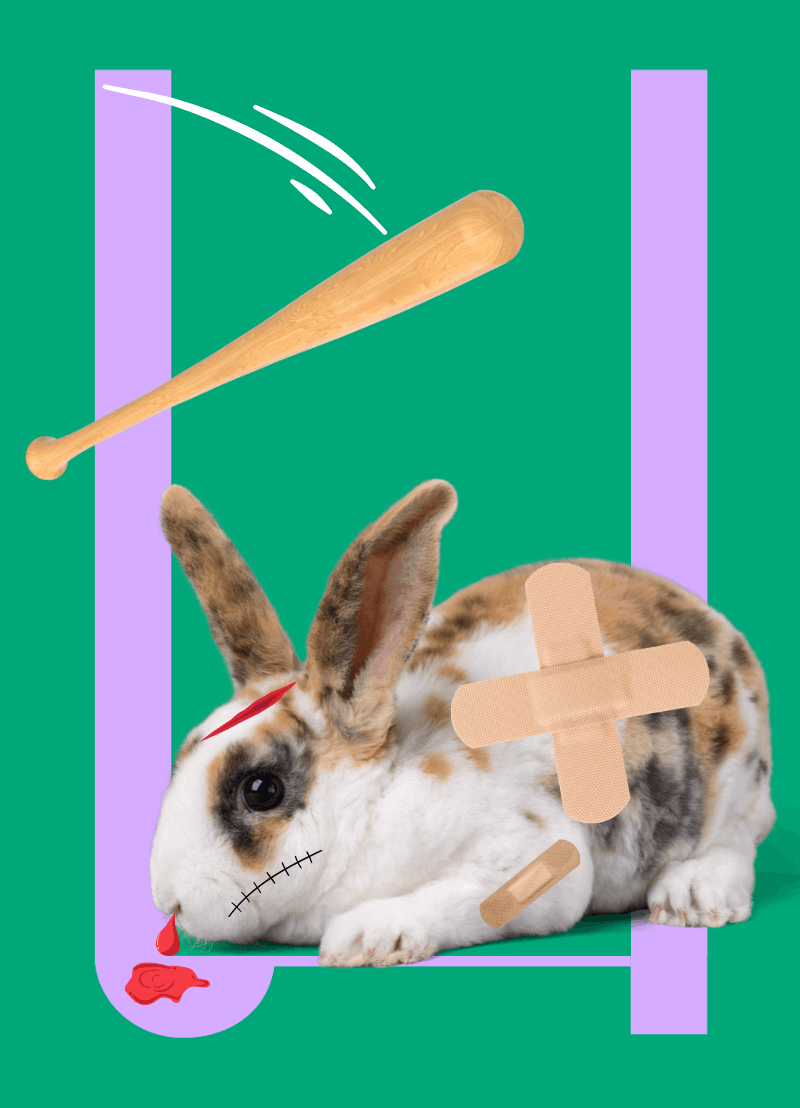 Dieren hebben net iets meer rechten dan een stoel, maar veel minder dan de mens. Maar... niet elk dier heeft dezelfde rechten. Zo kan een konijn in jouw tuin beroep doen op veel meer bescherming dan eentje in een laboratorium. Dr. Eva Bernet Kempers is onderzoeker dierenrecht aan de Universiteit Antwerpen en zij pleit ervoor om dieren een waardiger leven te geven en dat ook op te nemen in ons wetboek.