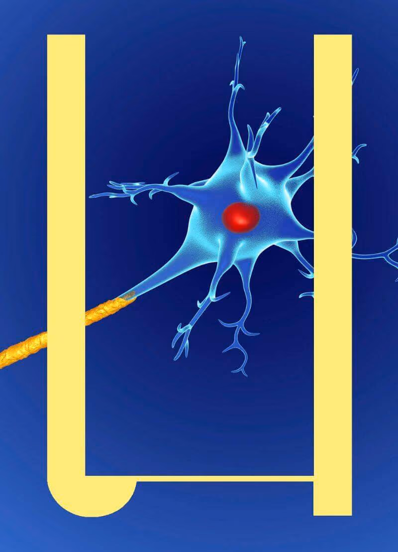 MS, of multiple sclerose, is een akelige zenuwziekte en je wenst het (uiteraard) niemand toe. Maar... je kan er wel oud mee worden. Maar wat is MS eigenlijk? En is er iets aan te doen. Professor Veronica Popescu is neuroloog aan het Universitair MS Centrum Pelt-Hasselt en aan de UHasselt en hoopt met haar onderzoek MS beter te begrijpen zodat de ziekte ooit misschien gestopt kan worden.