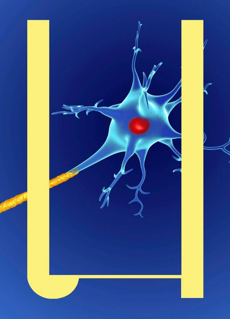MS, of multiple sclerose, is een akelige zenuwziekte en je wenst het (uiteraard) niemand toe. Maar... je kan er wel oud mee worden. Maar wat is MS eigenlijk? En is er iets aan te doen. Professor Veronica Popescu is neuroloog aan het Universitair MS Centrum Pelt-Hasselt en aan de UHasselt en hoopt met haar onderzoek MS beter te begrijpen zodat de ziekte ooit misschien gestopt kan worden.